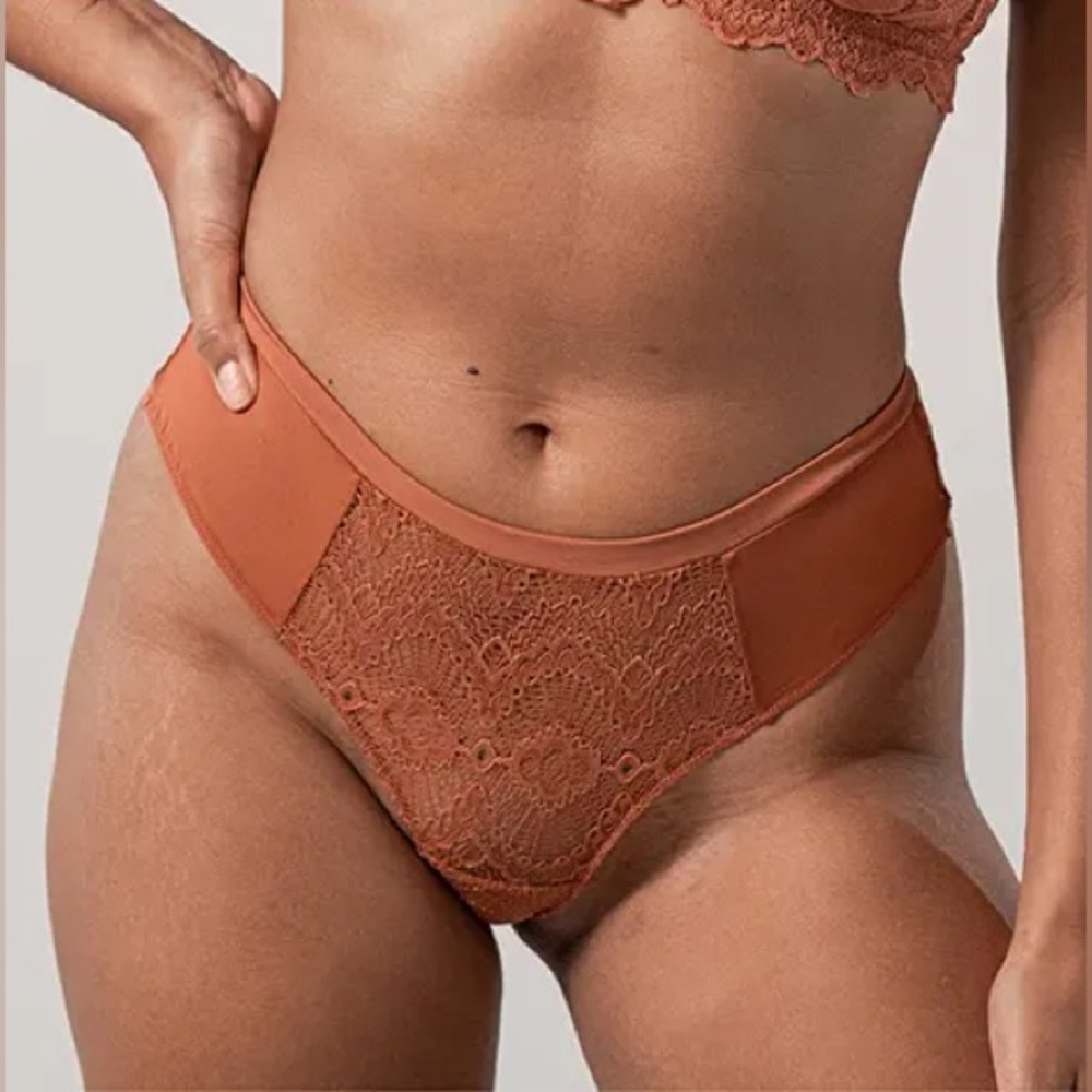 Understatement Lace Cheeky Panties (Terracotta)